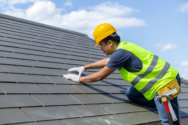 Best Best Roofing Contractors  in Holly, MI