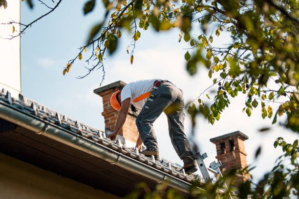 Best Tile Roofing Contractor  in Holly, MI