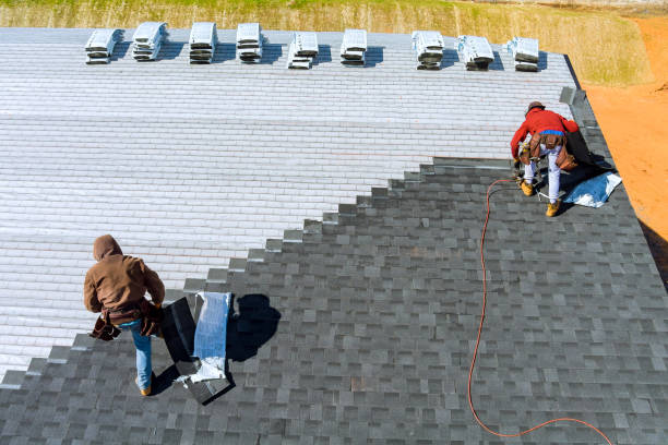 Best Roof Leak Repair  in Holly, MI
