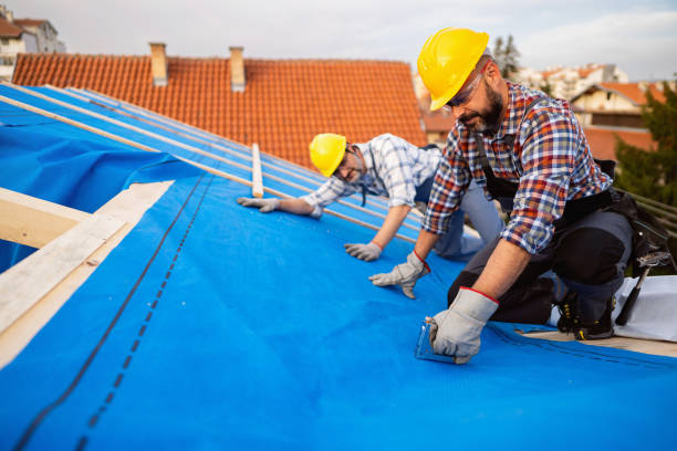 Best New Roof Installation  in Holly, MI