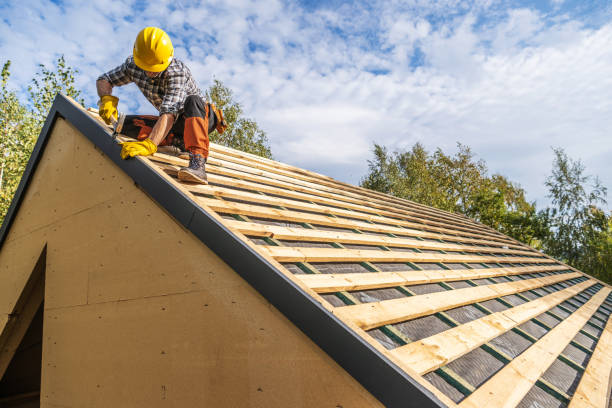 Best Storm Damage Roof Repair  in Holly, MI