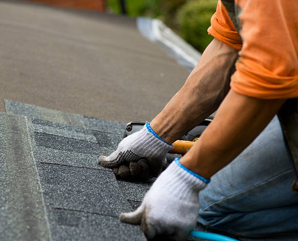 Best Roofing Contractors for Homes  in Holly, MI