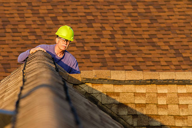 Best Metal Roofing Contractor  in Holly, MI