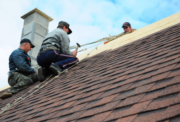 Best Roof Repair Services  in Holly, MI