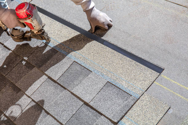 Best Roof Maintenance Services  in Holly, MI