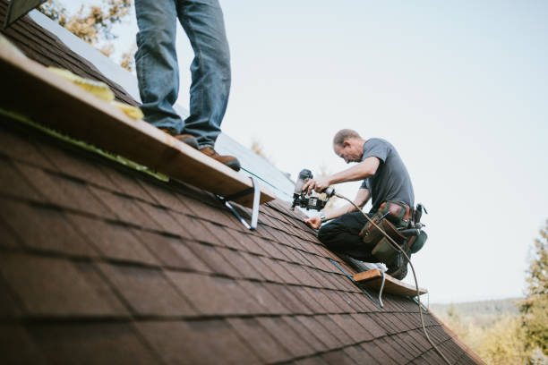 Best Commercial Roofing Services  in Holly, MI